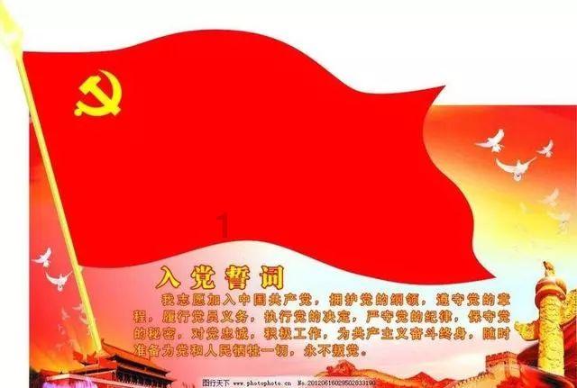 大猩猩库巴