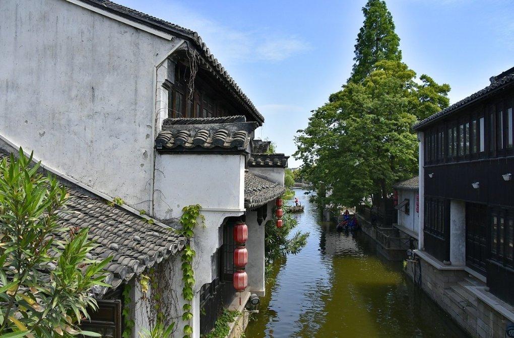 诱捕小浣熊